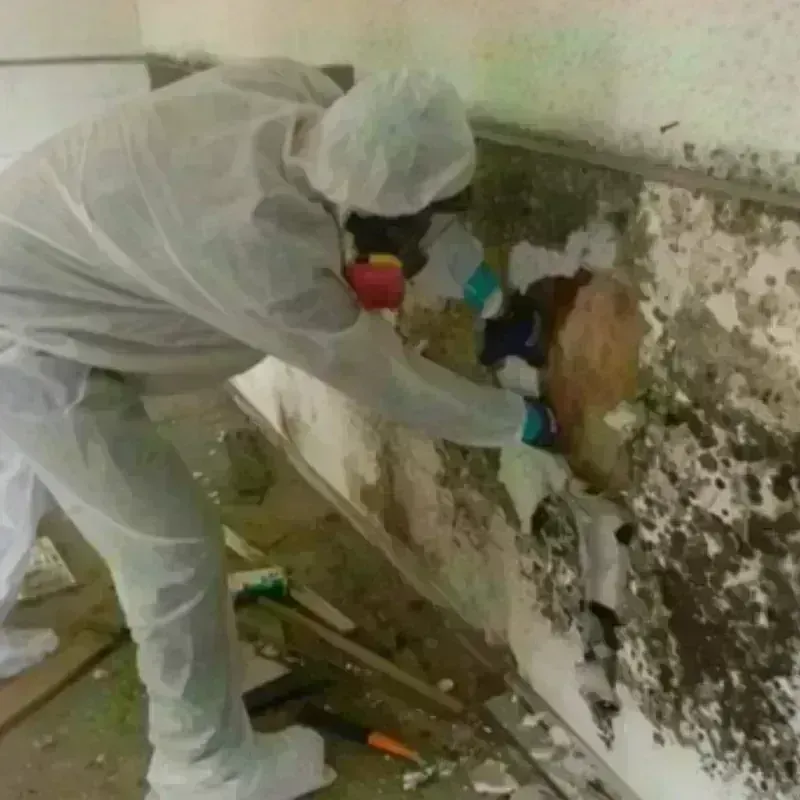 Mold Remediation and Removal in North Beach, MD