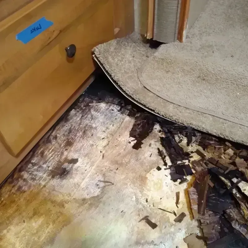 Wood Floor Water Damage in North Beach, MD